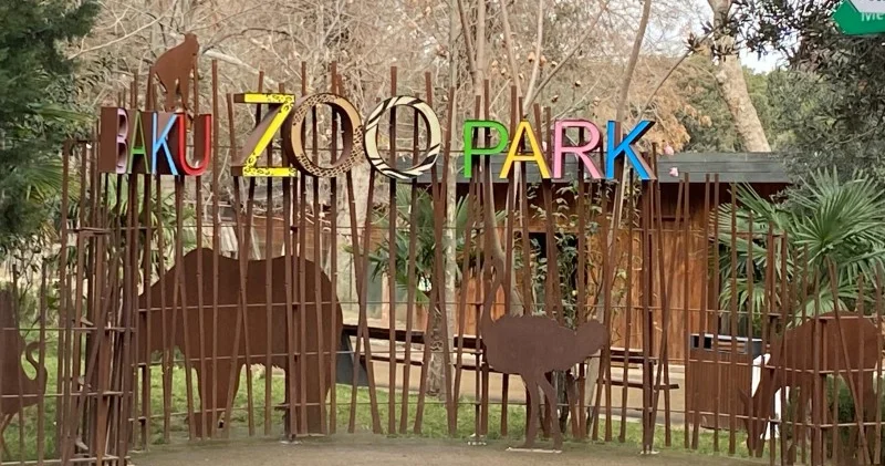 Bakı Zooparkına yeni heyvanlar gətirilməyəcək VİDEO REPORTAJ