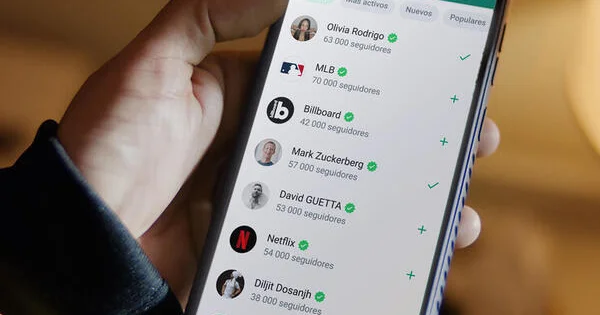 WhatsApp yazışmaları hansı hallarda izlənilə bilər? ARAŞDIRMA
