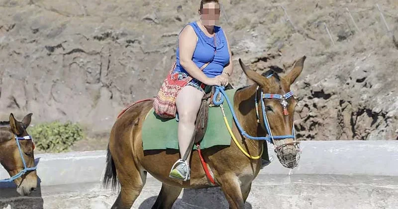 Bu ölkədə turist daşıyan eşşəklərə limit tətbiq edildi