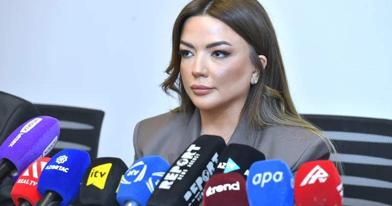 Айгюн Алиева: В мае пройдет Форум НПО WUF13