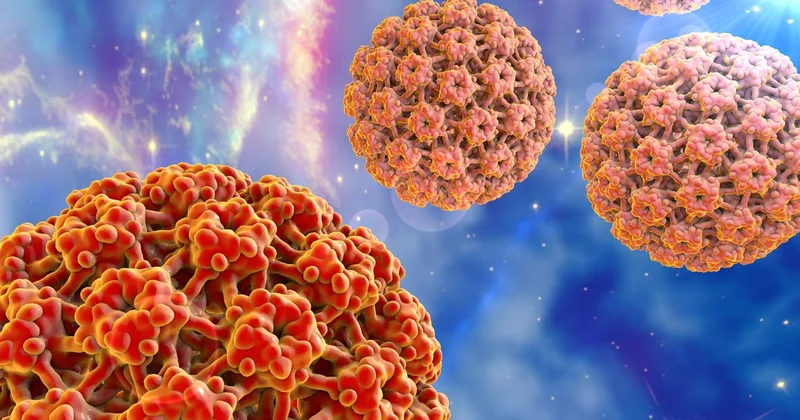 “Ziillər sadəcə kosmetik problem deyil HPV bəzi hallarda xərçəngə səbəb olur