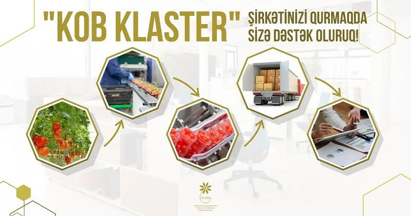 Klasterləşmə sahibkarlar üçün imkanlar və perspektivlər FOTO