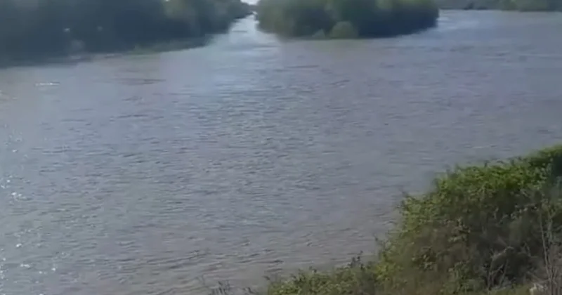 Кура угрожает разлиться