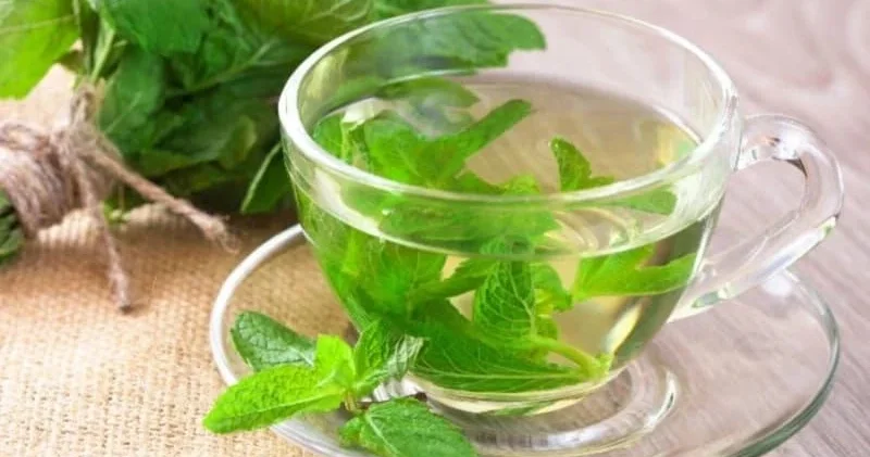 Bədəniniz sizə təşəkkür edəcək: Nanə suyu içməyin 5 faydası