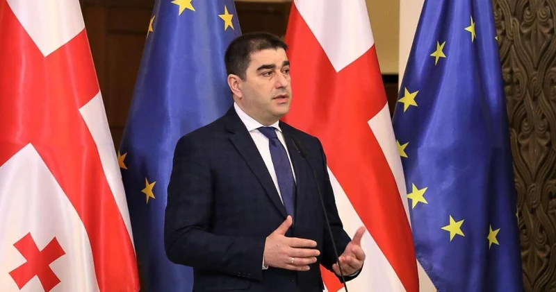 Спикер парламента Грузии: ЕС должно быть стыдно за беспорядки в других странах