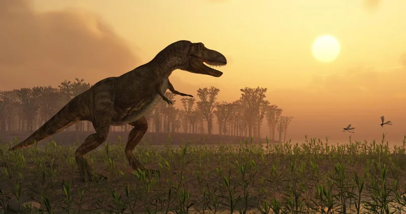 Alimlər ən qədim yırtıcı dinozavrlardan birinin yeni növünü kəşf etdi