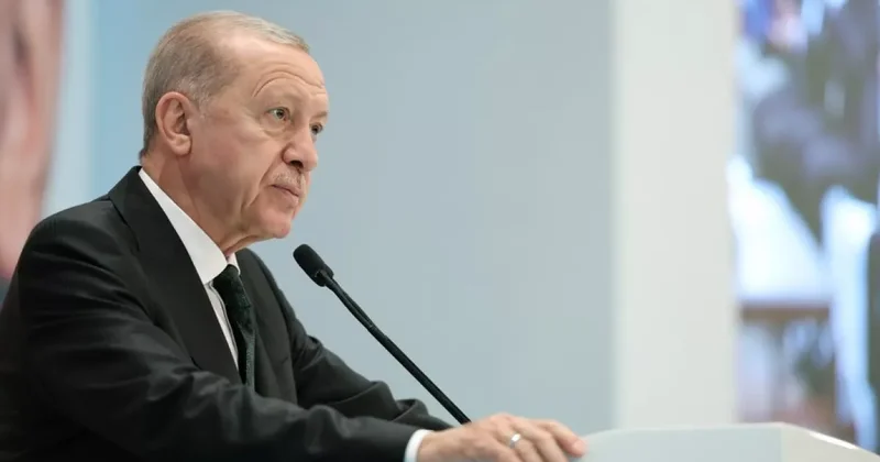 Эрдоган объявил об открытии месторождения газа на 30 миллиардов долларов