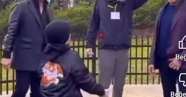 Stallonenin ürəyini fəth edən azarkeş