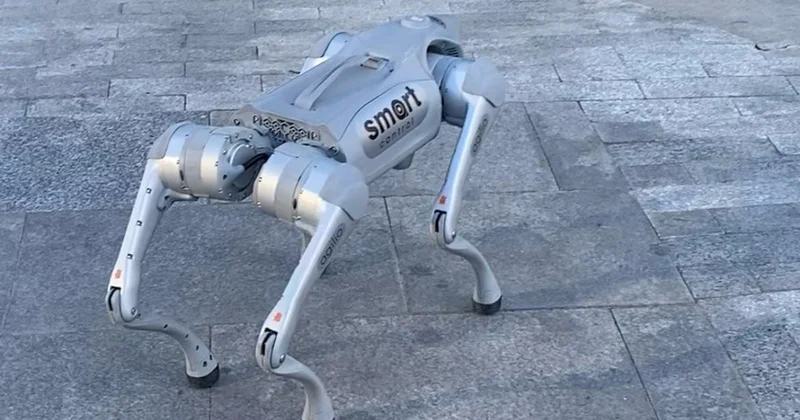 Bakıda robot it görənləri şoka saldı VİDEO