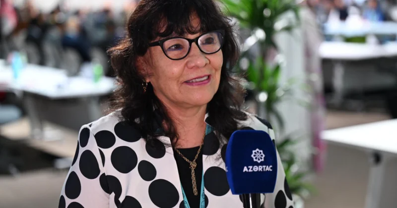 Səfir: Bu cür təbdirlər davamlı şəhərlərin necə həyata keçirilməsinə dair təcrübə mübadiləsi üçün fürsətdir