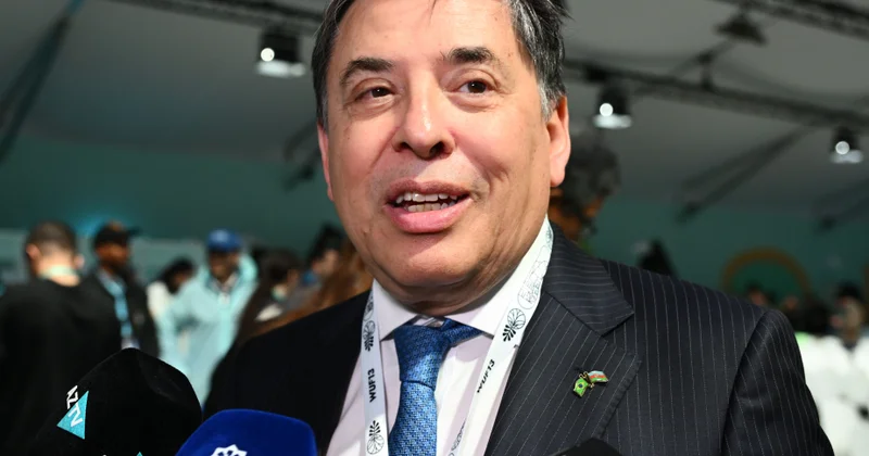 Braziliya təmsilçisi: Azərbaycanın təcrübələrini öyrənəcəyik