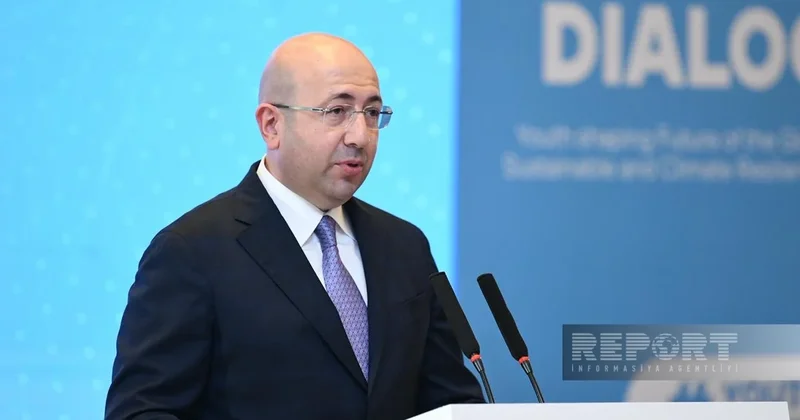 Анар Гулиев: Доля ВИЭ в энергосистеме Азербайджана достигнет 38%