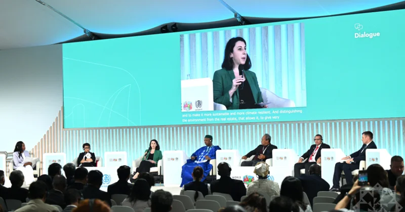 İnsan təbiətə qarşı müharibə apararsa, dayanıqlı şəhərlərdən danışmaq mümkün olmaz panel iclas