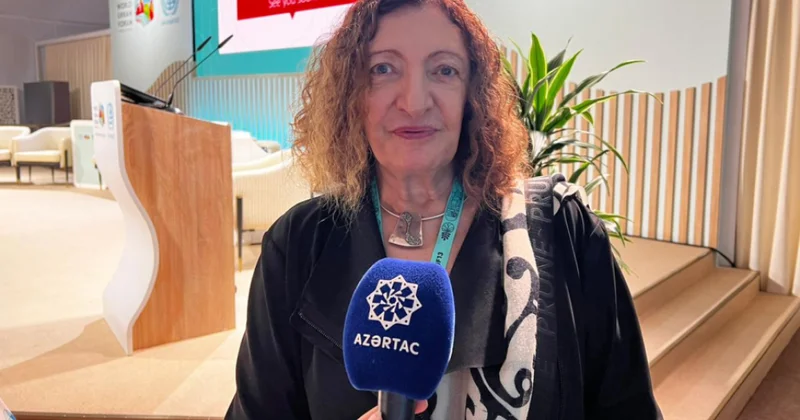 Professor Ana Falu: Şəhər planlaşdırılmasında cəmiyyətdəki müxtəliflik nəzərə alınmalıdır