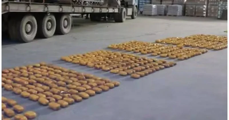 В Узбекистане пресекли попытку ввоза почти 600 кг наркотиков из Афганистана