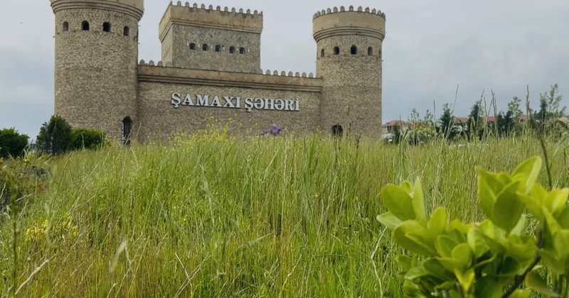 Şamaxı WUF13 çərçivəsində xarici qonaqlara Azərbaycanın turizm zənginliyini nümayiş etdirəcək REPORTAJ