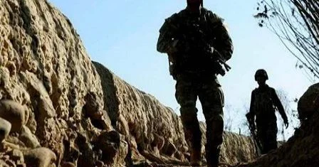 Dövlət Komitəsi məlumat yaydı