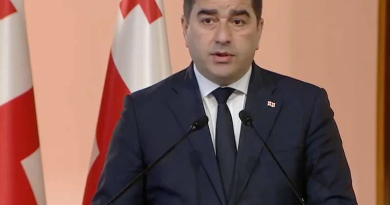 Papuaşvili: Qafqazda sülh və sabitliyin təşviq edilməsi ilə bağlı Türkiyə ilə ortaq vizyonumuz var