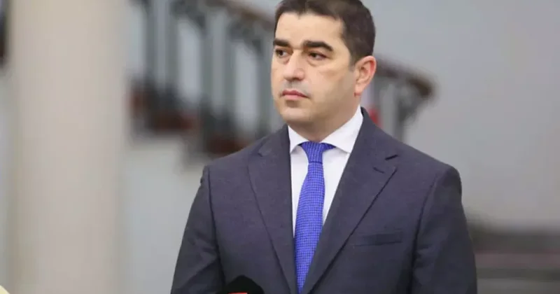 Папуашвили отправился с официальным визитом в Анкару