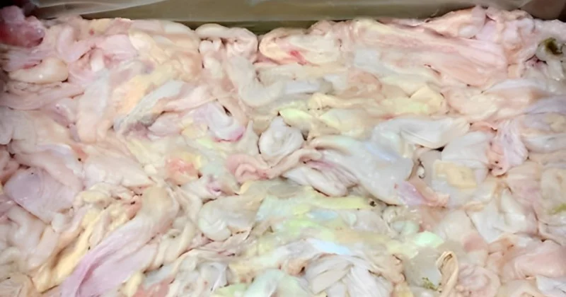 В импортированной из России куриной коже обнаружены опасные паразиты