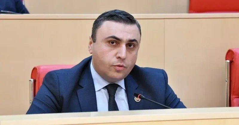 Депутат Грузинской мечты раскритиковал доклад Европарламента