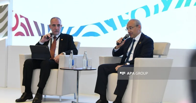 Nazir: Zəngəzur dəhlizi Orta Dəhlizin səmərəliliyini artıracaq