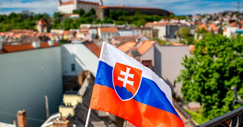 Словакия начала первый этап производства собственных БПЛА