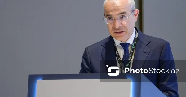 Глава Минэкономики Азербайджана рассказал о зрелой институциональной экосистеме страны