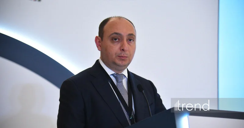 За пять лет Азербайджан добился значительного прогресса в цифровизации замминистра