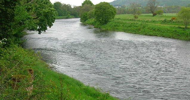 В водном канале в Товузе нашли тело