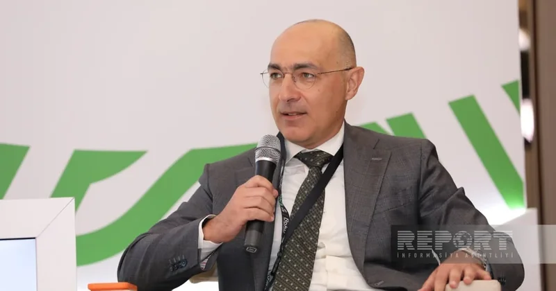 Фарид Мамедов: Региональные финпотоки в Центральной Азии увеличились на 50%