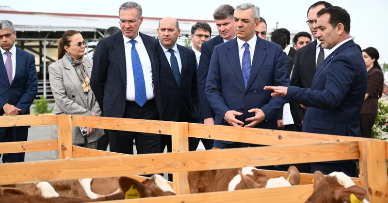 Xocalıda “Qoç Ət”in heyvandarlıq kompleksi ilə tanışlıq olub