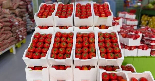 5 ayda pomidor ixracı 120 milyon dollara yaxın qazanc gətirib