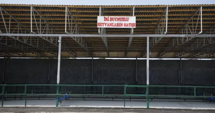 Binədə heyvan bazarı açıldı