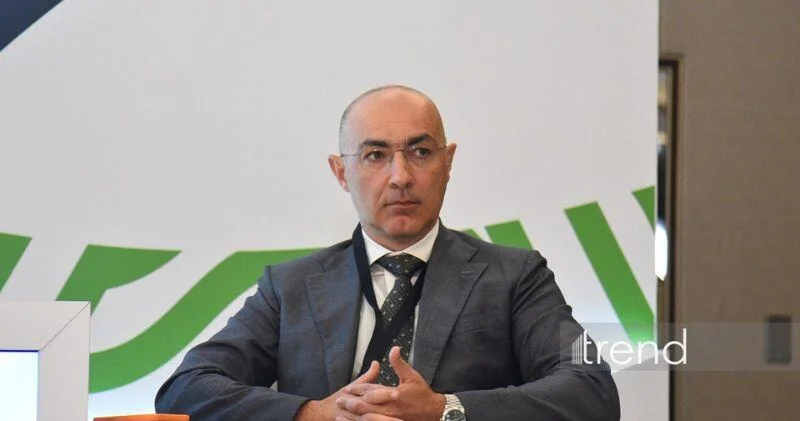 Фарид Мамедов назвал ключевое условие для банковских проектов