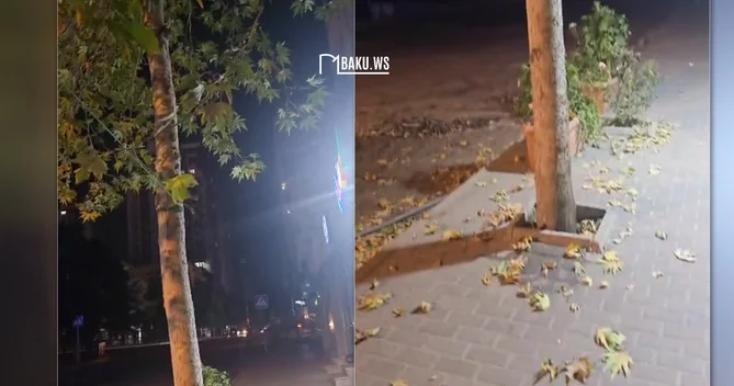 Yayın ortasında Bakıda Payız havası