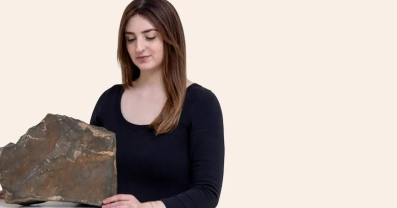 Mars parçası rekord məbləğə satıldı