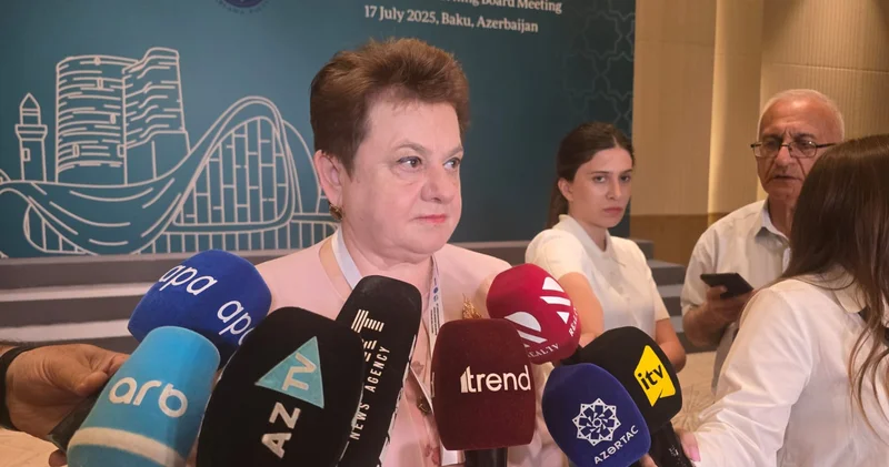 Счетная палата Азербайджана демонстрирует высокий уровень профессионализма представитель SAI Russia