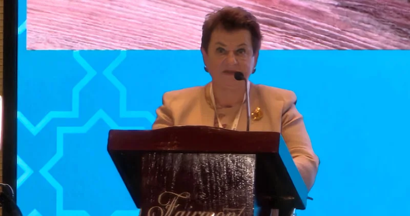 Svetlana Orlova: Audit qurumları DİM üzrə vahid yanaşma formalaşdırmalıdır