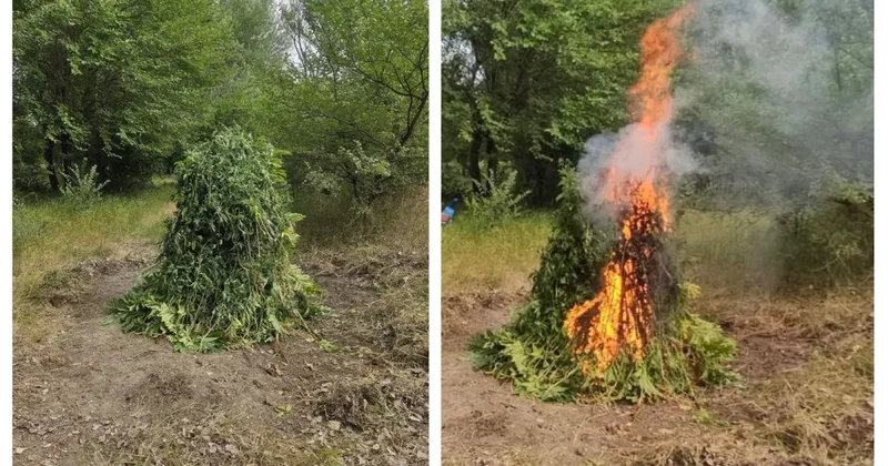 Свыше тонны наркотиков сожжены в Азербайджане