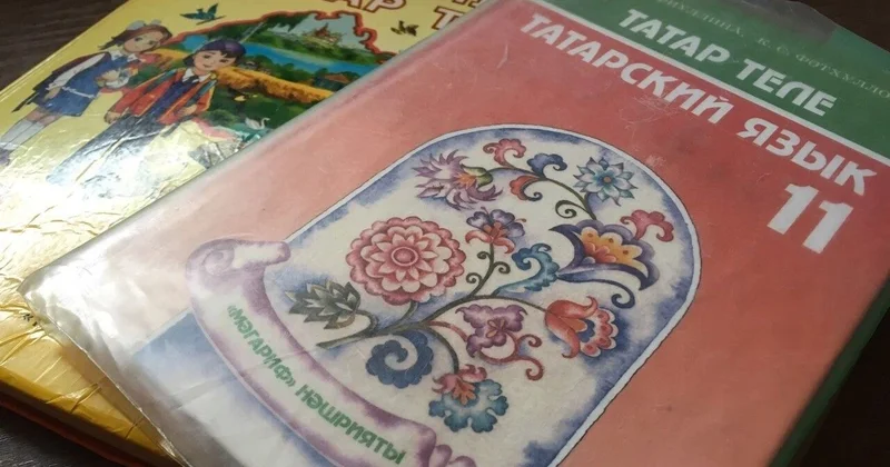 “Əgər ana dilin tatar dilidirsə, deməli Vətən səninlə hesablaşmır?
