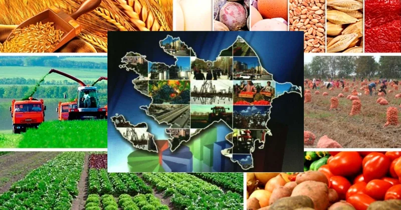 Regionların sosial iqtisadi inkişafı üçün hansı işlər görülür? AÇIQLAMA KONKRET