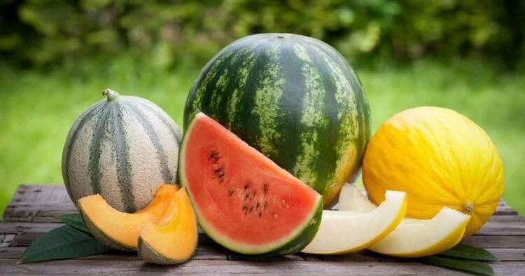 Yayın əvəzolunmazları Çoxu faydalarından xəbərsizdir