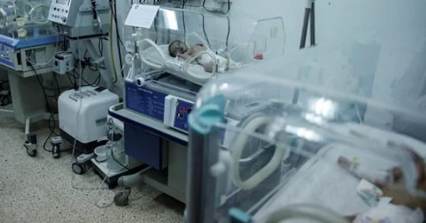 6 saylı doğum evində üçəm doğuldu,körpələrin ikisi baxımsızlıqdan öldü?