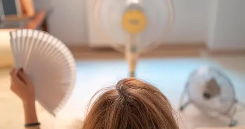 Sərinkeşin qarşısında yatmaq zərərlidir?