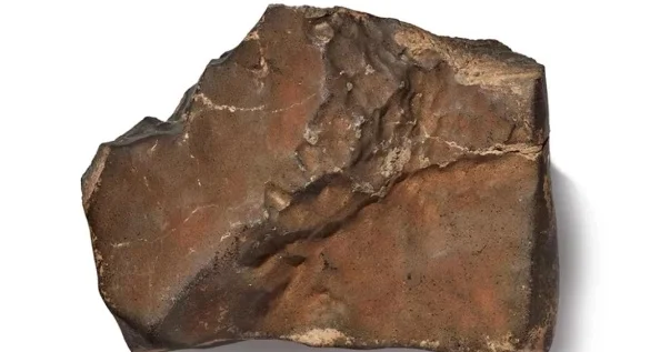 Dünyanın ən böyük Mars qayası 5,3 milyon dollara satılıb