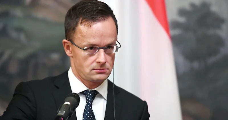 Венгрия ввела санкции против трёх украинских генералов