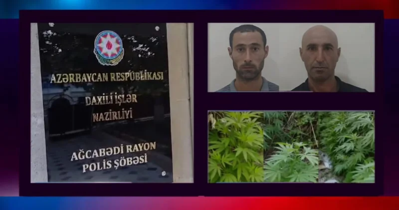 Xaçmazda və Ağcabədidə narkotik əleyhinə əməliyyat