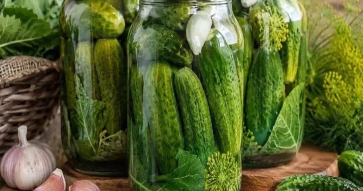 Bankanın dibinə bunu qoyun xiyarlar bütün qış boyu xırtıldayan qalacaq