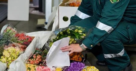 Rusiya İran güllərinə MƏHDUDİYYƏT qoydu Ermənistana görə...